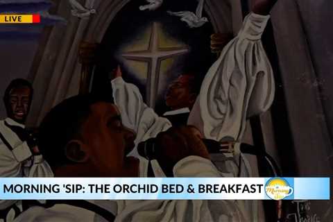 Morning 'Sip: The Orchid Bed & Breakfast