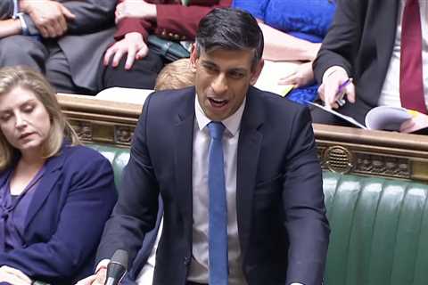 Tory Rebel's Plot to Oust Rishi Sunak Fizzles Out