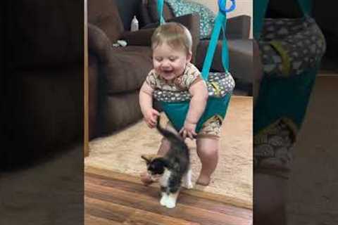 Adorable Baby Encounters The Cutest Calico Kitten