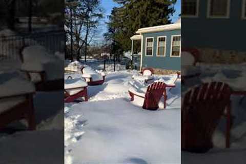 Corgi Luge Course