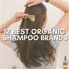 12 Best Organic Shampoo Options for a Natural Hair Care Routine