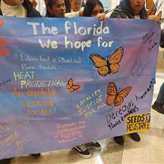 Immigrant activists rally for better times in Florida