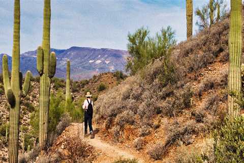 The Ultimate Guide to Outdoor Events in Maricopa County, AZ