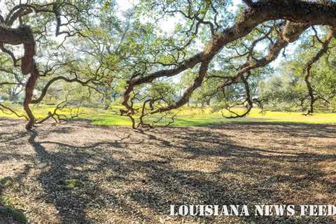 Louisiana House passes bill that would create a new congressional map | KTVE