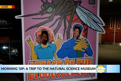 MORNING 'SIP: A Trip to the Natural Science Museum