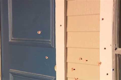 Harris Co. deputies investigating burglary shoot woman in own home. How did this happen?