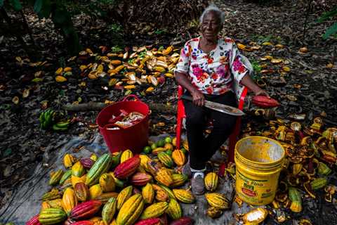 How to Choose Chocolate That’s Truly Sustainable