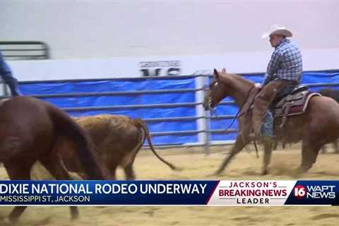 Rodeo Economic Impact