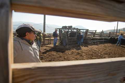 Colorado avanza con proyectos para conectar a trabajadores agrícolas con servicios de salud mental