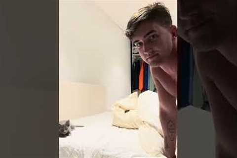 Adorable 2-month-old Kitten Wreaks Havoc While Making Beds