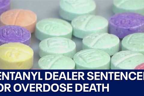 Fentanyl crisis: Teen who sold laced pill that killed 19-year-old sentenced | FOX 7 Austin