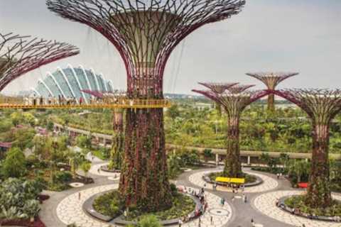 Singapore's Green Energy Landscape