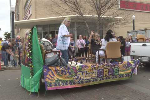 The economic impact of the Meridian Mardi Gras Festival