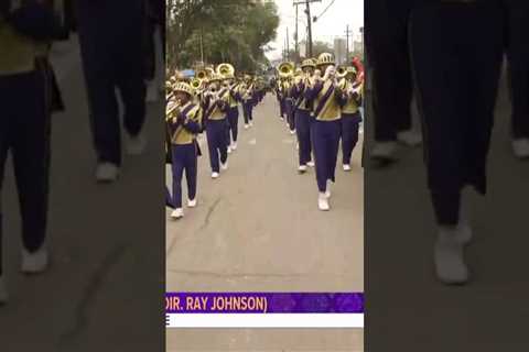 Mardi Gras 2024: St Augustine Marching Band