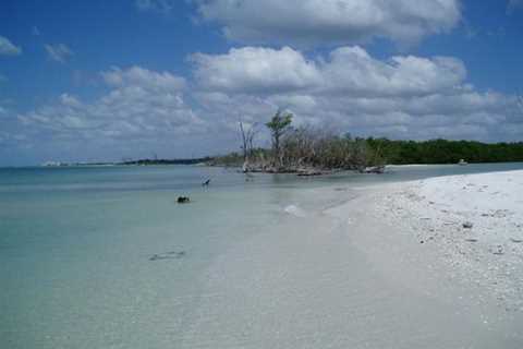 Florida lawmakers try to move aquatic preserve’s boundary to benefit developer