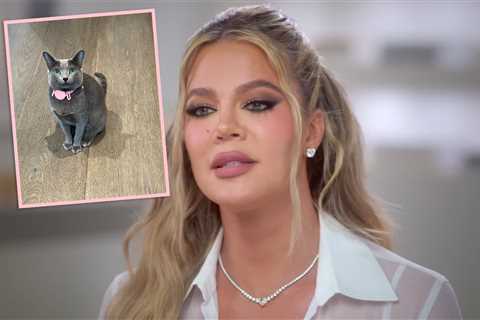 Khloé Kardashian FINALLY Responds To Accusations She FaceTuned The Family Cat!