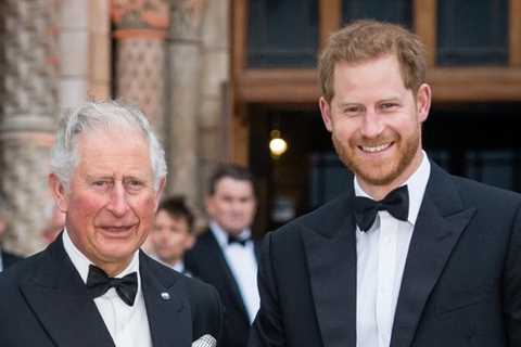 Prince Harry’s Royal Duties After King Charles Cancer Diagnosis