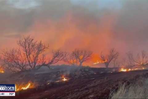 North Texans sending supplies to help those devastated by Texas Panhandle wildfires