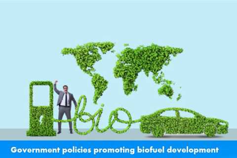 Government policies promoting biofuel development