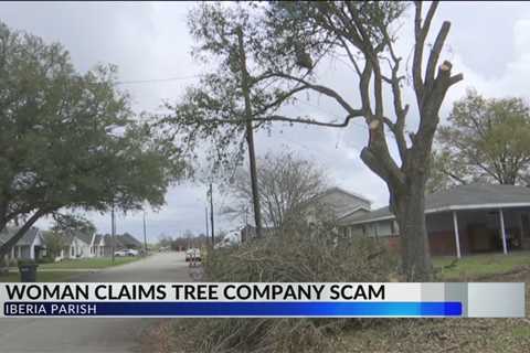 Woman claims tree company is not fulfilling its promises