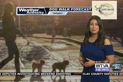 Dog Walk Forecast for March 5th – Stella