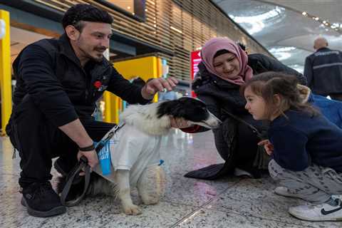 Stressed Before Flight? Therapy Dogs To The Rescue At This Airport