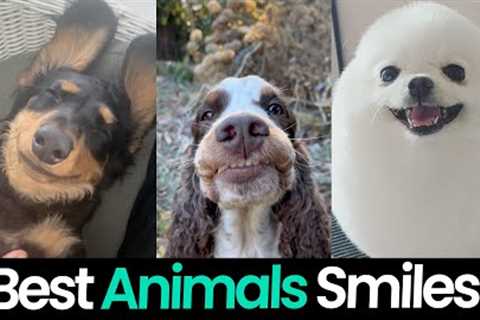 Smiling Animals: The Happiest Pets