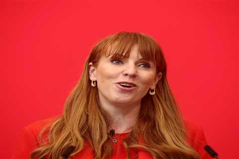 Celeb lawyer ‘Mr Loophole’ warns Angela Rayner can not wriggle out of tax row