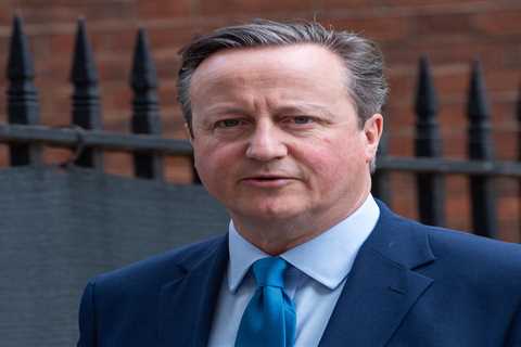 David Cameron Flies to Florida to Meet Donald Trump to Discuss £50bn Ukraine Aid