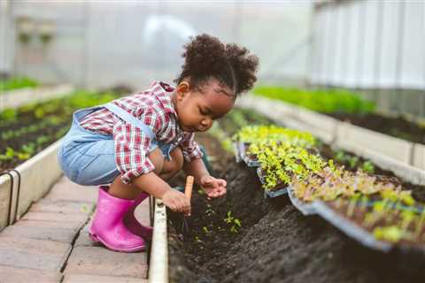 A Detroiters’ guide to starting a vegetable garden