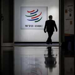 WTO in ‘damage control’ mode as Abu Dhabi agenda unravels