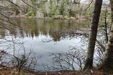 State agencies advise decontamination with discovery of ‘rock snot’ cells in the Au Sable River •