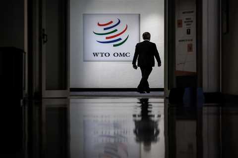 WTO in ‘damage control’ mode as Abu Dhabi agenda unravels