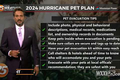 Storm Ready 2024 – Pet Plan