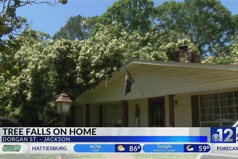 ‘He heard the tree creaking’: Fallen tree damages South Jackson family’s home