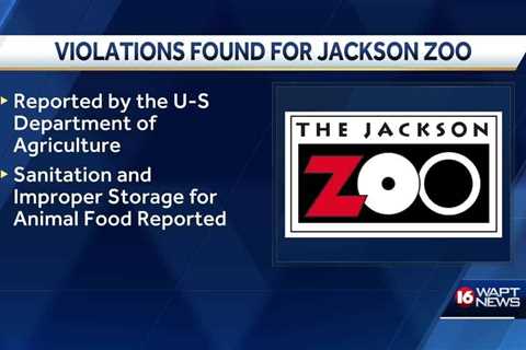 USDA releases inspection report on the Jackson Zoo