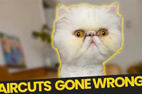 Pet Haircuts GONE WRONG!