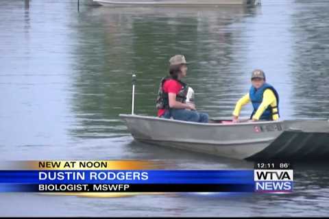 Elvis Presley Lake reopens on Wednesday to fishermen and boaters