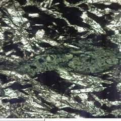 Science Art Gallery: Thin section 1