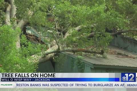 Family okay after tree falls on Jackson home