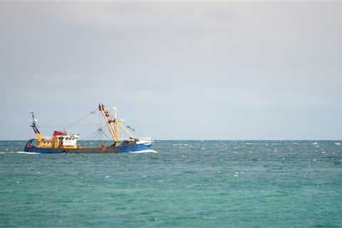 A media giant is suing scallop farmers for $870K, accusing them of damaging its underwater cable