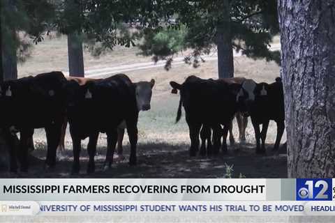 Mississippi farmers recovering from 2023 drought