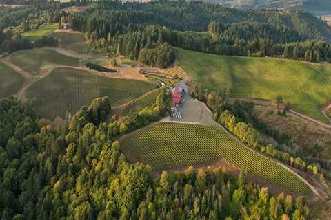 The Best Beer and Wine Gardens at Festivals in Northwestern Oregon