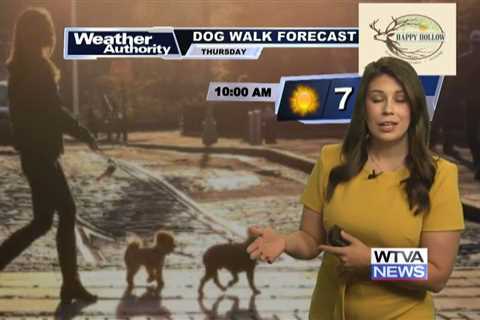 Dog Walk Forecast for June 13th – Hugo