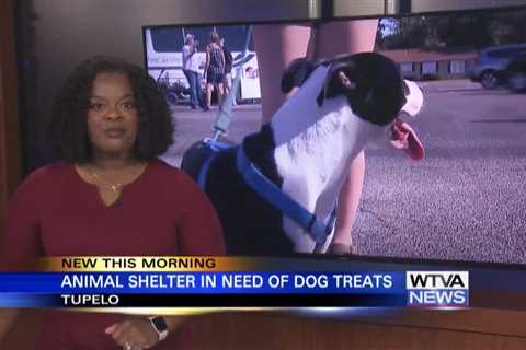 Tupelo Lee Humane Society asking for dog treats