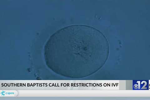 Reaction to Southern Baptists call for IVF restrictions