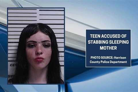 GRAPHIC: Teen accused of stabbing sleeping mother