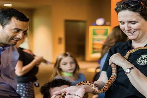 New exhibit slithering to Museum of Natural Science for World Snake Day