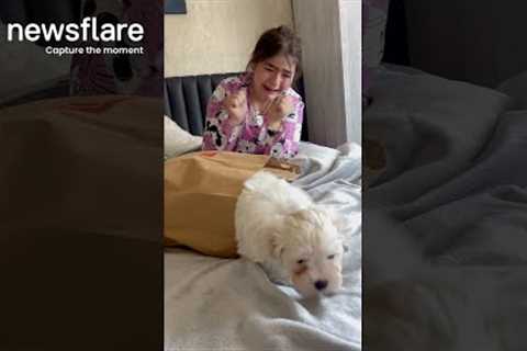 Daughter Gifted Puppy In Heartwarming Surprise || Newsflare