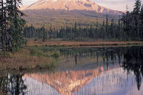 The Political Landscape of Northwest Oregon: A Historical Perspective